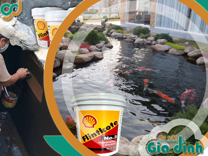 Cách sơn chống thấm hồ cá Flintkote bền đẹp cho bể cá Koi