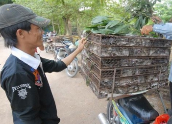 Chia sẻ