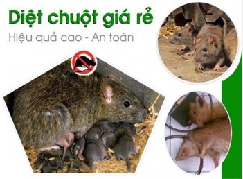 Chia sẻ