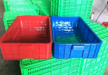Kinh tế